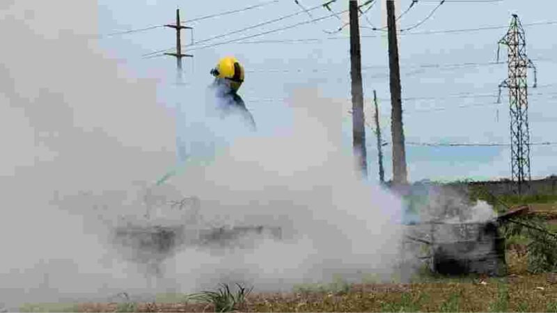 Corpo de Bombeiros e Energisa realizam teste de sensor que detecta incêndios com o uso de Inteligência Artificial