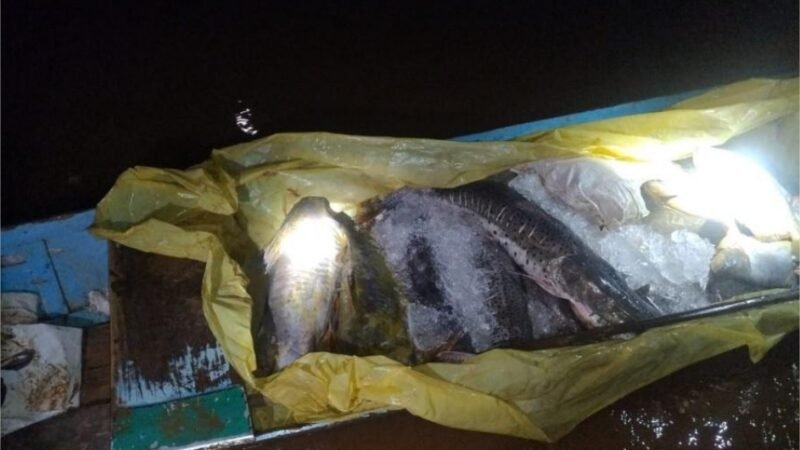 Batalhão Ambiental da PM apreende 182 quilos de pescado irregular durante fiscalização no Rio Vermelho