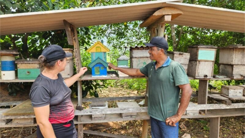 Produção de mel ganha força em Carlinda com apoio da Seaf e da Empaer e se torna alternativa de renda e conservação ambiental
