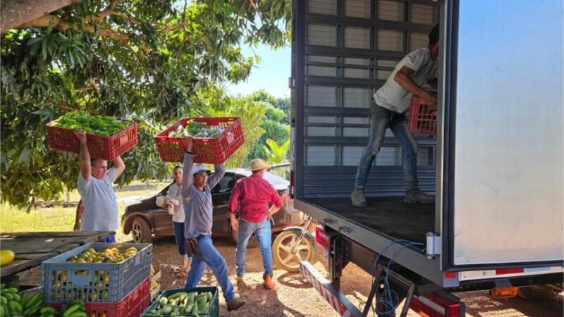 Políticas públicas ampliam produção de alimentos e transformam a agricultura familiar em MT
