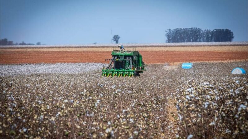 Governo de MT prorroga diferimento do ICMS para fertilizantes e mantém benefício até dezembro de 2026