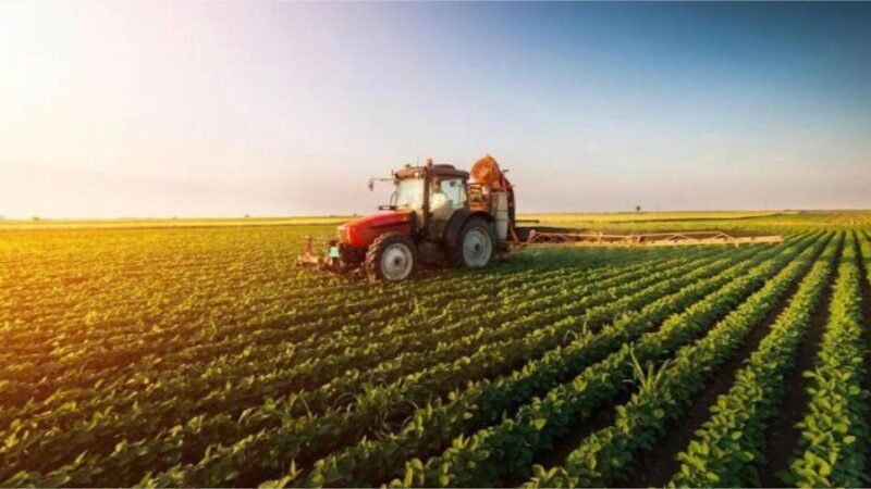 Credores rejeitam plano e recuperação do Grupo Pelissari entra em fase decisiva