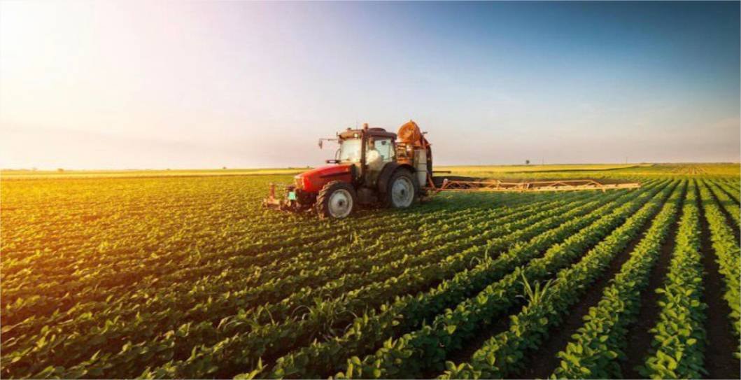 Credores rejeitam plano e recuperação do Grupo Pelissari entra em fase decisiva