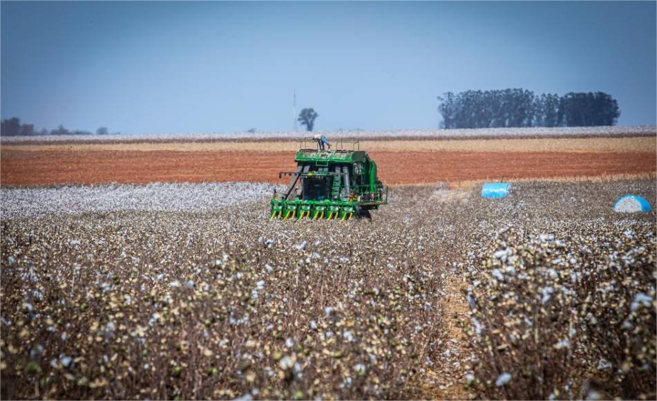 Governo de MT prorroga diferimento do ICMS para fertilizantes e mantém benefício até dezembro de 2026