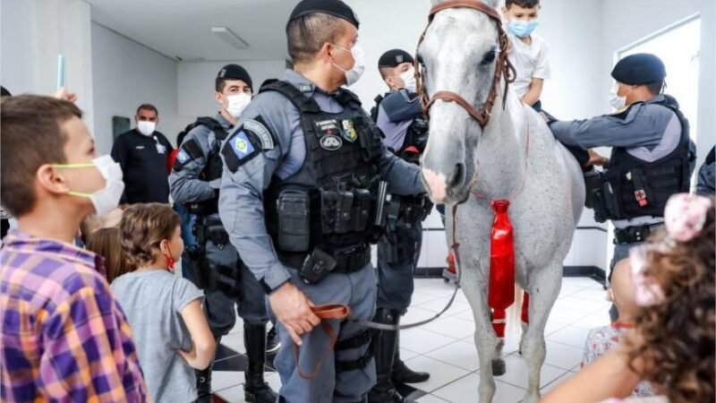 Cavalaria da PM registra mais de 3,5 mil atendimentos em projeto de equoterapia