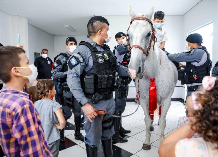 Cavalaria da PM registra mais de 3,5 mil atendimentos em projeto de equoterapia