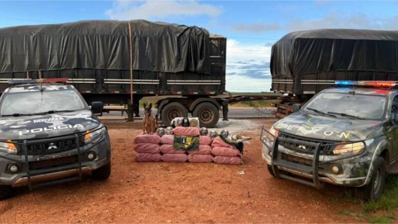 Gefron apreende mais de 400 quilos de skank e causa prejuízo de R$ 1,8 milhão ao crime