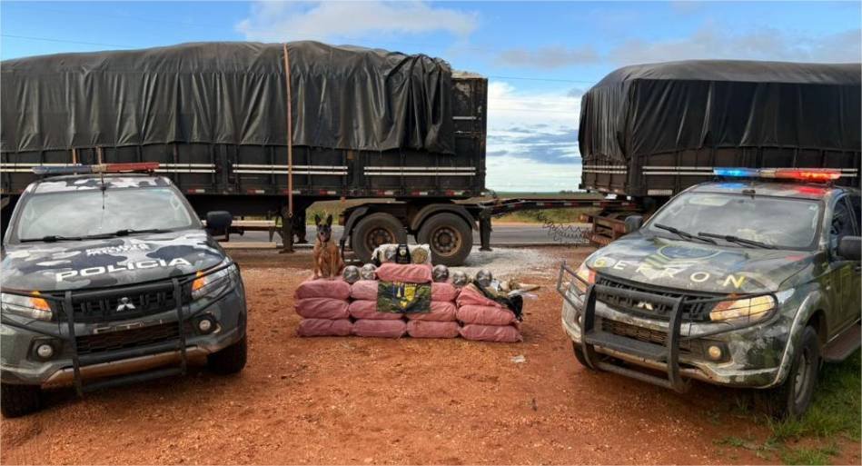 Gefron apreende mais de 400 quilos de skank e causa prejuízo de R$ 1,8 milhão ao crime