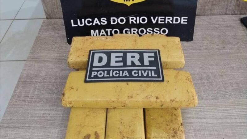 Polícia Civil apreende tabletes de maconha enterrados debaixo de pé de manga em Lucas do Rio Verde