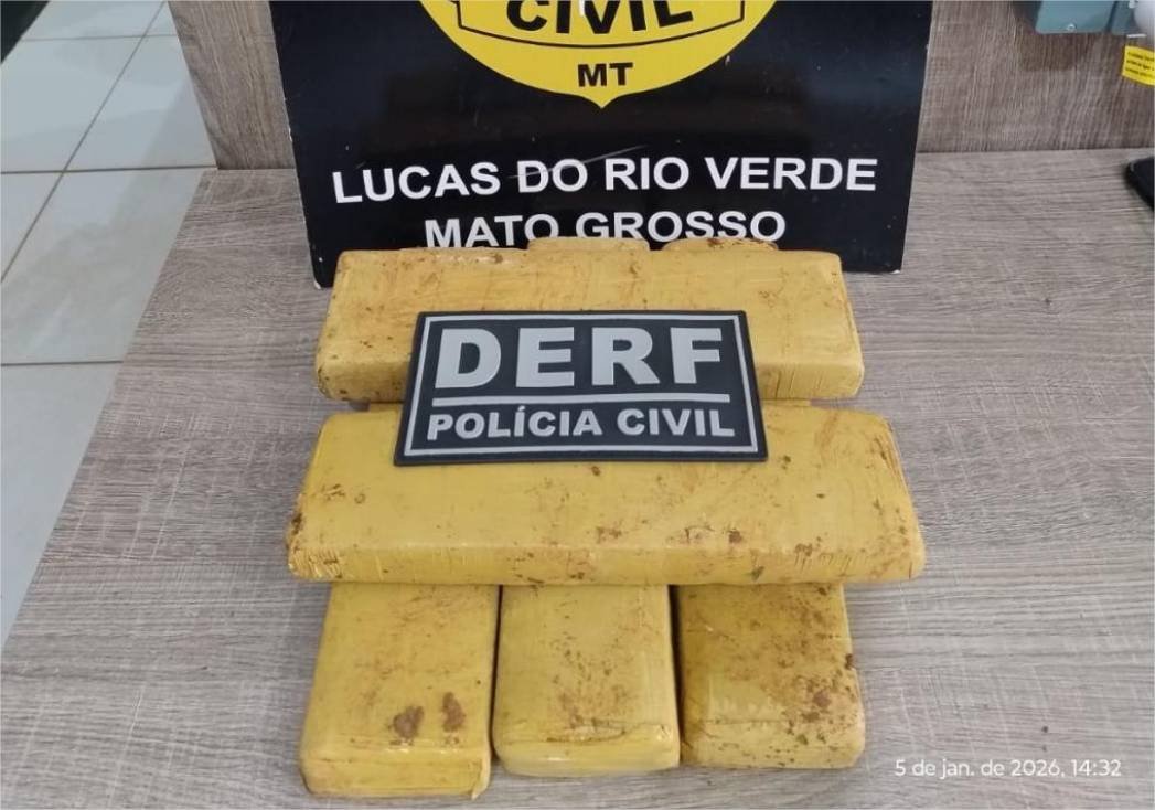 Polícia Civil apreende tabletes de maconha enterrados debaixo de pé de manga em Lucas do Rio Verde