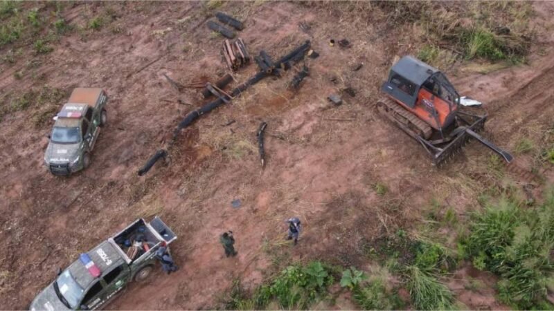 Fiscalizações ambientais da Polícia Militar aplicaram R$ 1,1 bilhão em multas