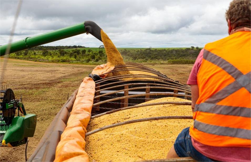 Mato Grosso fecha 2025 como o 4º maior exportador brasileiro