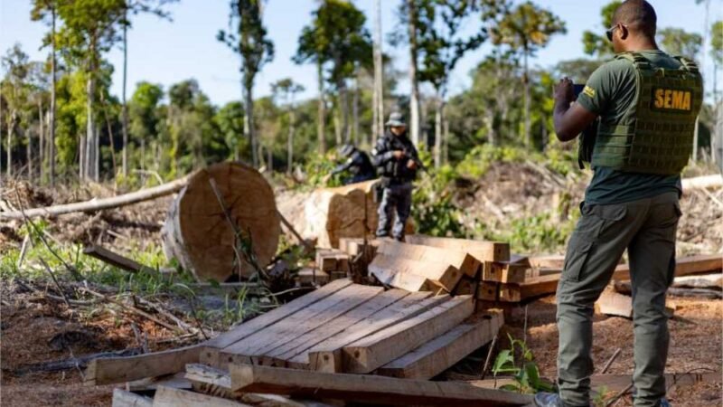 Governo de MT deflagra 291 operações e aplica R$ 2,7 bilhões em multas contra crimes ambientais