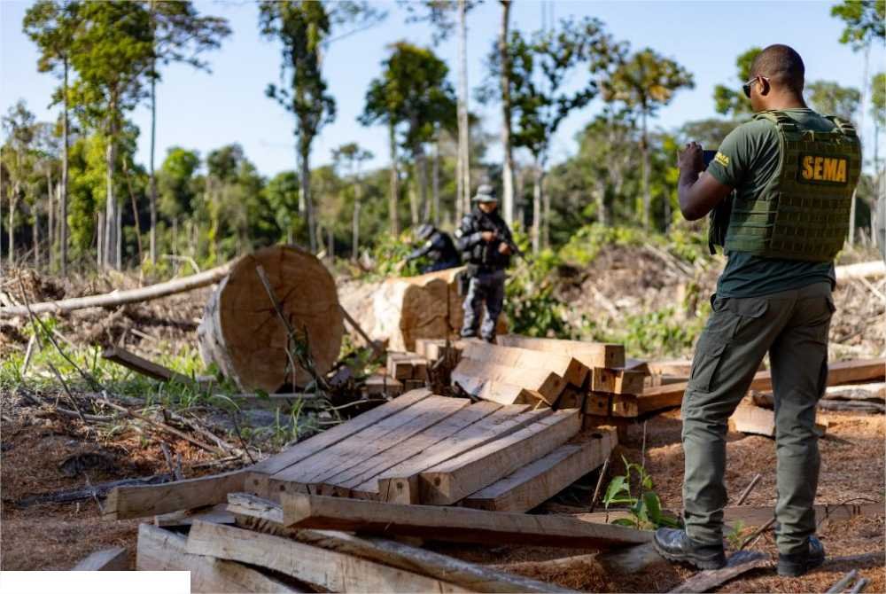 Governo de MT deflagra 291 operações e aplica R$ 2,7 bilhões em multas contra crimes ambientais