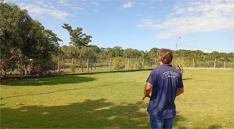 Indea sacrifica 164 aves após confirmação de gripe aviária em Acorizal