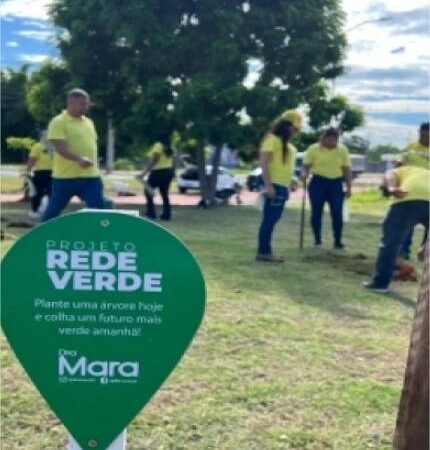 Vereadora Dra. Mara inicia 2026 com o projeto ambiental Rede Verde