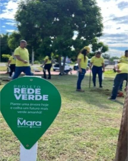 Vereadora Dra. Mara inicia 2026 com o projeto ambiental Rede Verde