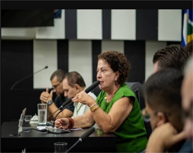 Comissão de Agricultura discute 1ª edição do Carnaval Off Cerrado em reunião ordinária