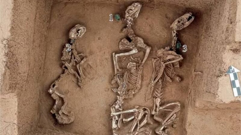 Restos de antigo zoológico da elite com 3 mil anos de idade são achados na China