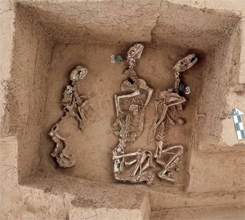 Restos de antigo zoológico da elite com 3 mil anos de idade são achados na China