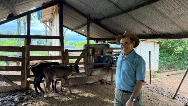 “Temos a chance de melhorar a genética do nosso gado leiteiro”, afirma produtor de Chapada dos Guimarães