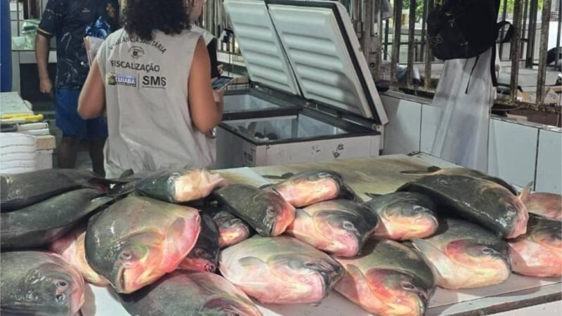 Operação conjunta apreende aproximadamente meia tonelada de pescado irregular em feira da Capital