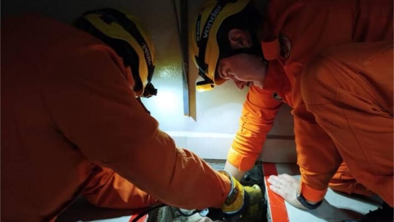 Corpo de Bombeiros resgata gato soterrado em concreto seco