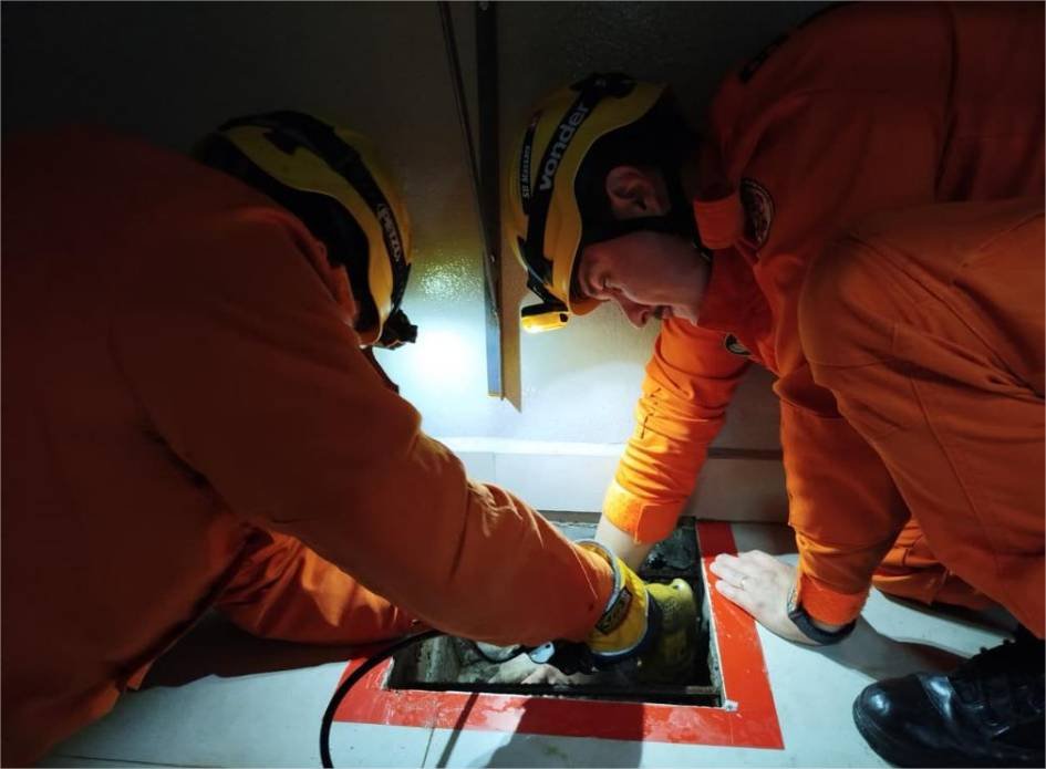 Corpo de Bombeiros resgata gato soterrado em concreto seco