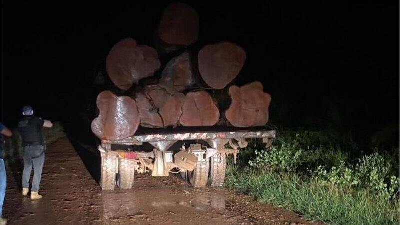 Polícia Civil e Sema flagram transporte e venda ilegal de madeira em Novo Mundo