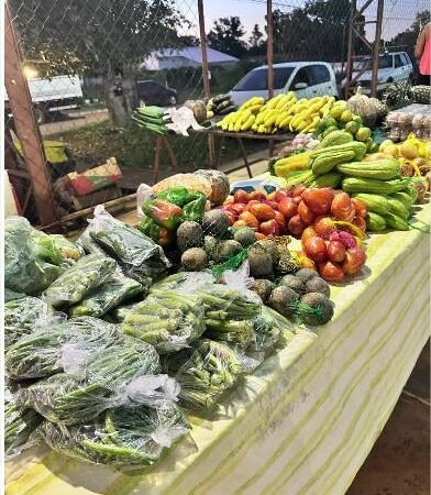 Feira da Aldeia seleciona 33 expositores e consolida novo ciclo mensal com protagonismo de produtores locais