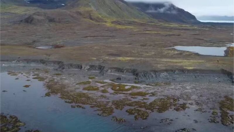 Água de aquíferos glaciais de 12 mil anos nos EUA pode proteger contra Parkinson, sugere estudo