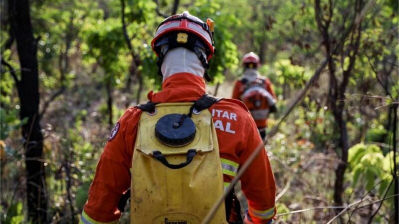 Corpo de Bombeiros abre vagas para especialização em Gestão de Incêndios Florestais