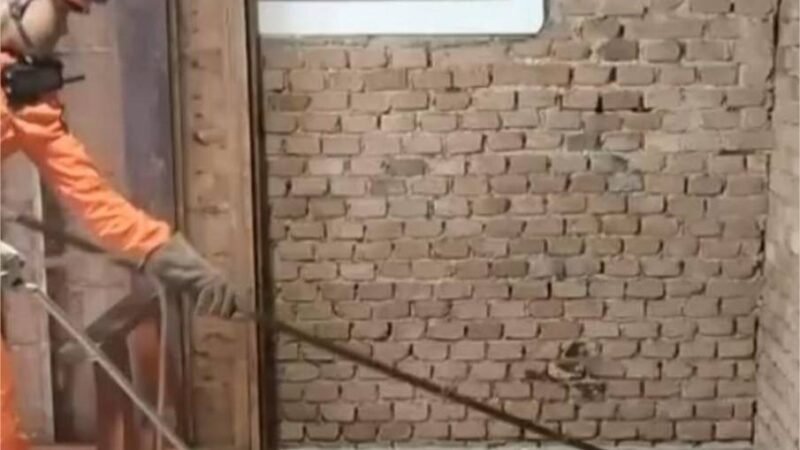 Bombeiros militares capturam cobra caninana de 2,5 metros de comprimento nas dependências de órgão municipal