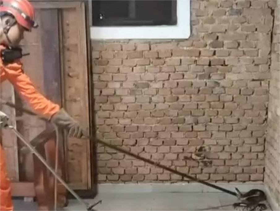 Bombeiros militares capturam cobra caninana de 2,5 metros de comprimento nas dependências de órgão municipal