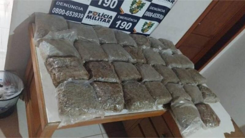 PM apreende 30 tabletes de super maconha em ônibus de viagem em Vila Bela da Santíssima Trindade