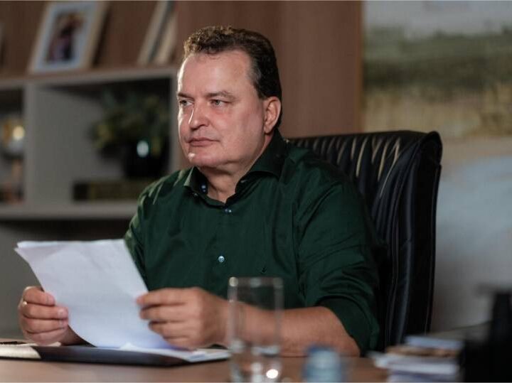 Proteger os animais é um dever coletivo