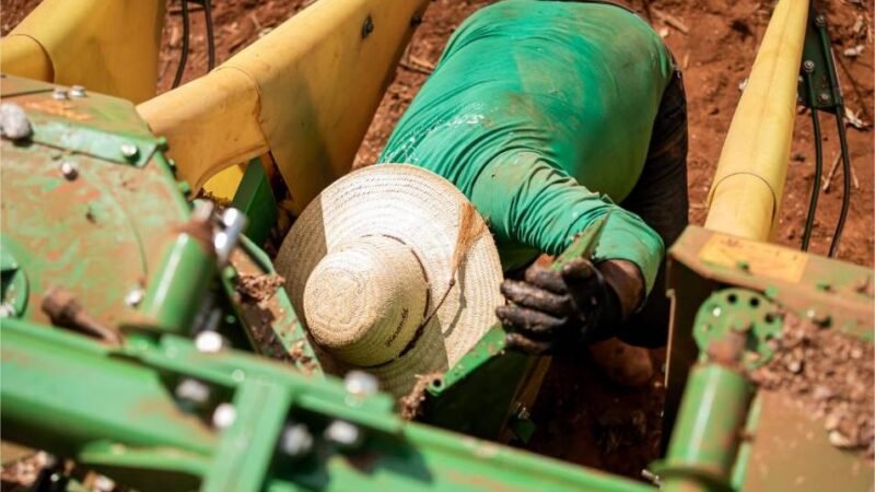 Mato Grosso abre 2026 com saldo de 18,7 mil novos empregos com carteira assinada em janeiro