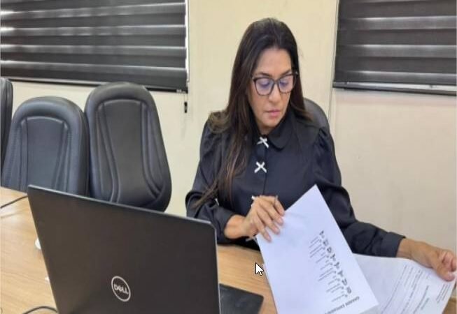 Projeto que reforça penalidades à comercialização de cerol, linha chilena e materiais cortantes avança na Câmara de Cuiabá