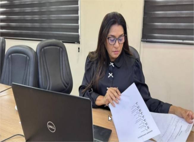 Projeto que reforça penalidades à comercialização de cerol, linha chilena e materiais cortantes avança na Câmara de Cuiabá