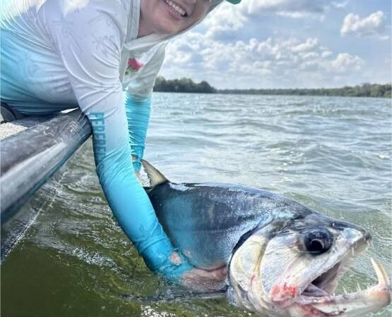 Empresários relatam mais turistas e alta no faturamento após dois anos do Transporte Zero