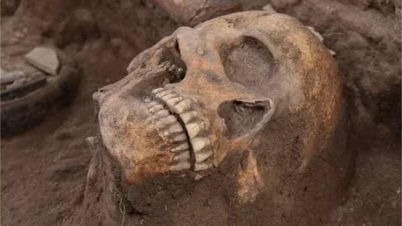 Pedra de sacrifício é achada com ossos humanos em obra de ferrovia no México; vídeo