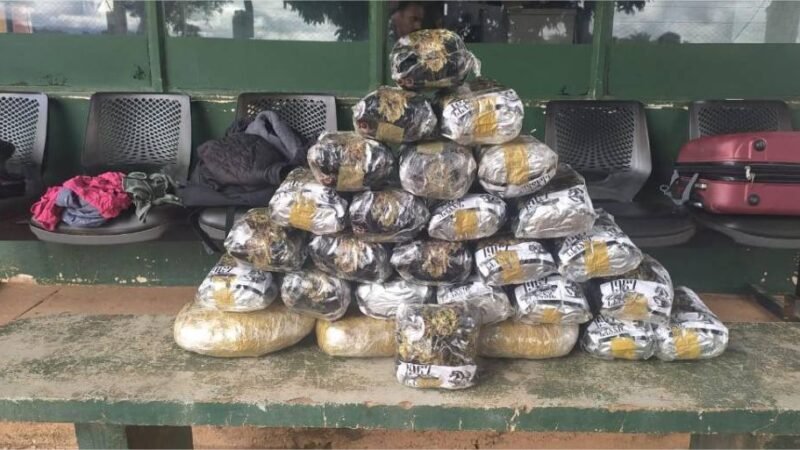 Gefron apreende mais de 16 kg de skunk e causa prejuízo de quase R$ 50 mil as facções criminosas