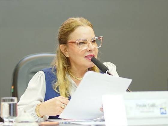 Câmara de Cuiabá aprova projeto de Paula Calil sobre combate à otite crônica