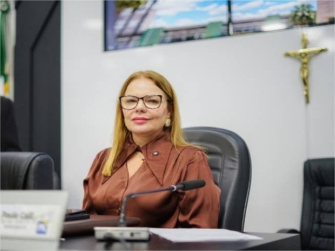 Aprovado projeto de Paula Calil que prevê a criação do Portal TEA