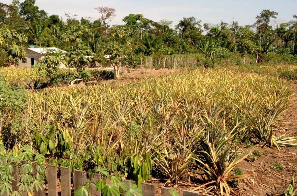Sema promove reuniões para orientar pequenos produtores sobre regularização ambiental nos assentamentos