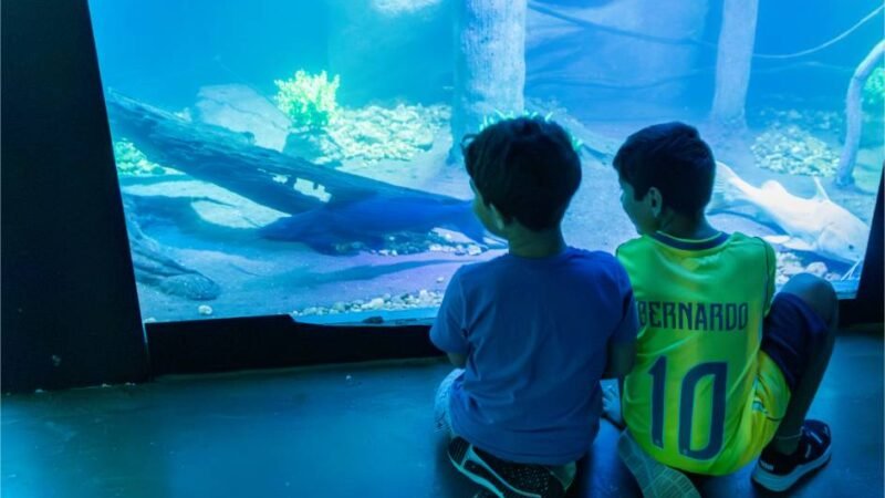Aquário Municipal de Cuiabá disponibiliza visitas guiadas com opções de atendimento diferenciado