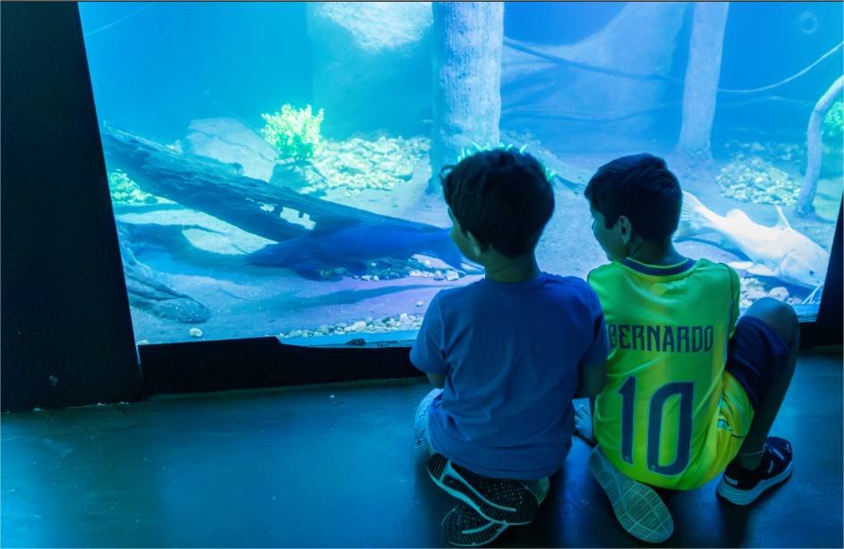 Aquário Municipal de Cuiabá disponibiliza visitas guiadas com opções de atendimento diferenciado