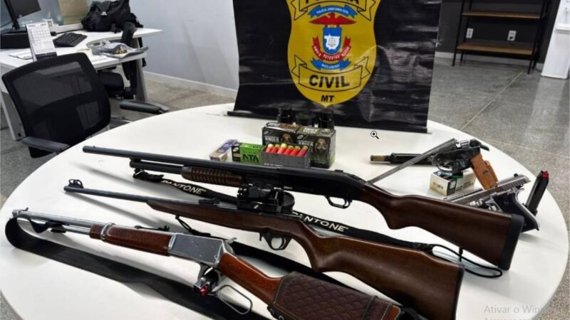 Polícia Civil apreende armas de fogo em Água Boa