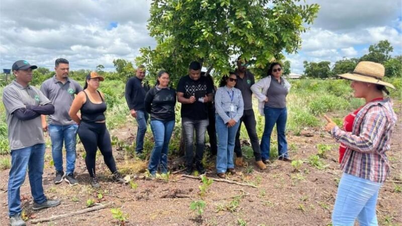 Cursos técnicos em agronegócio ampliam oportunidades de qualificação em Mato Grosso