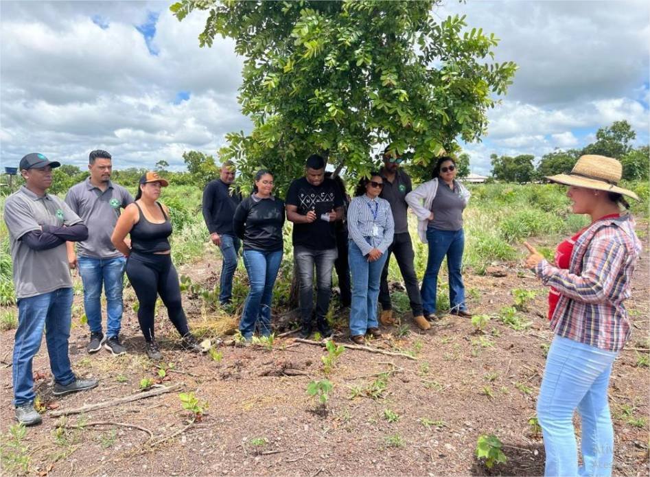 Cursos técnicos em agronegócio ampliam oportunidades de qualificação em Mato Grosso